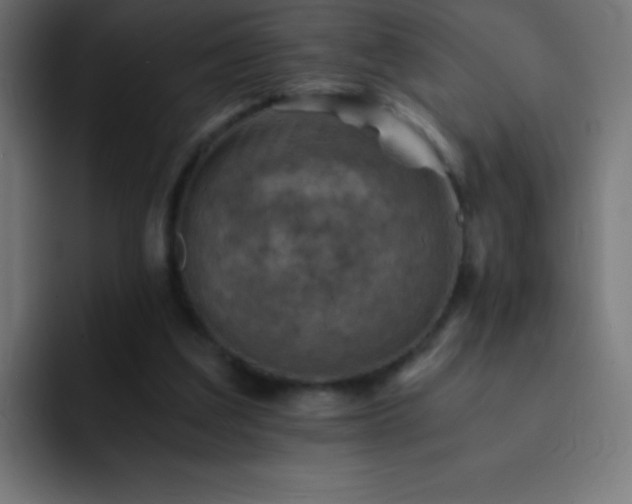 X0000093100203200710031836