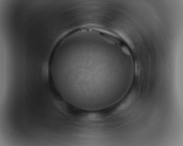 X0000093100204200710031836