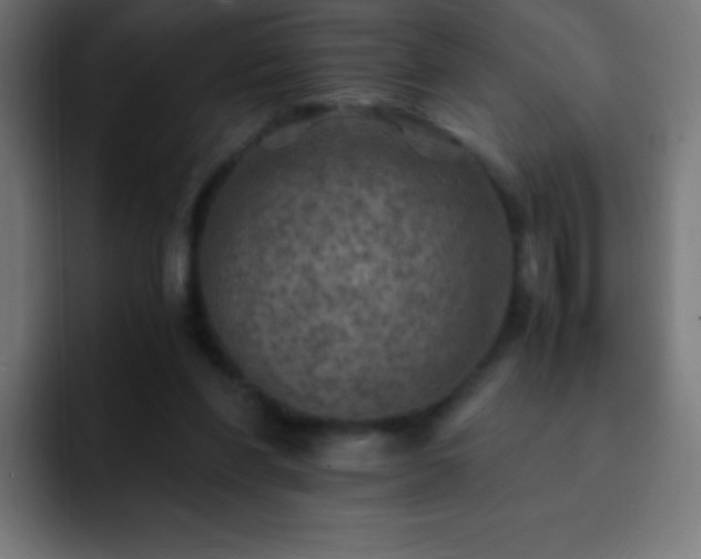 X0000093100206200710031836