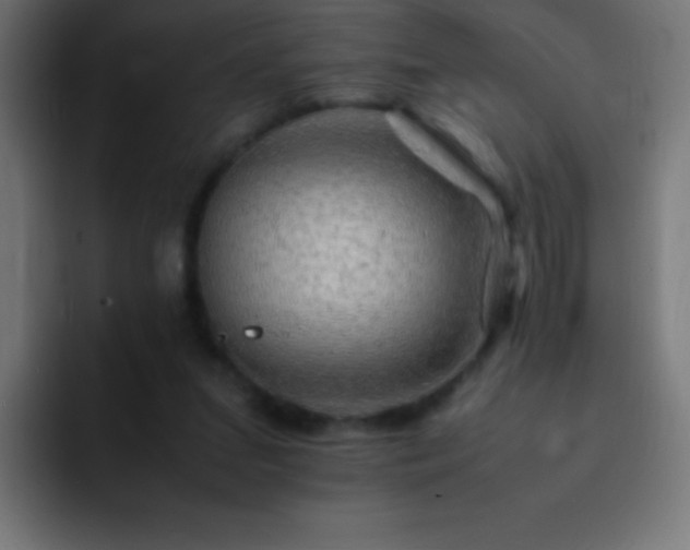 X0000093100207200710031836