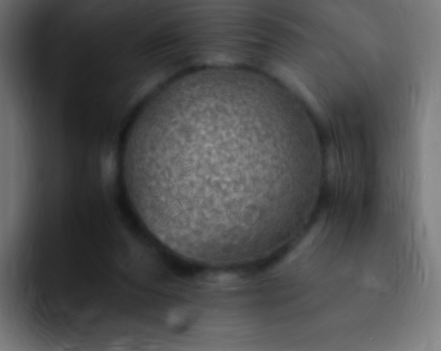 X0000093100208200710031836