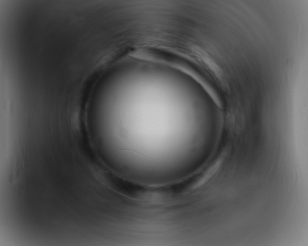 X0000093100209200710031836
