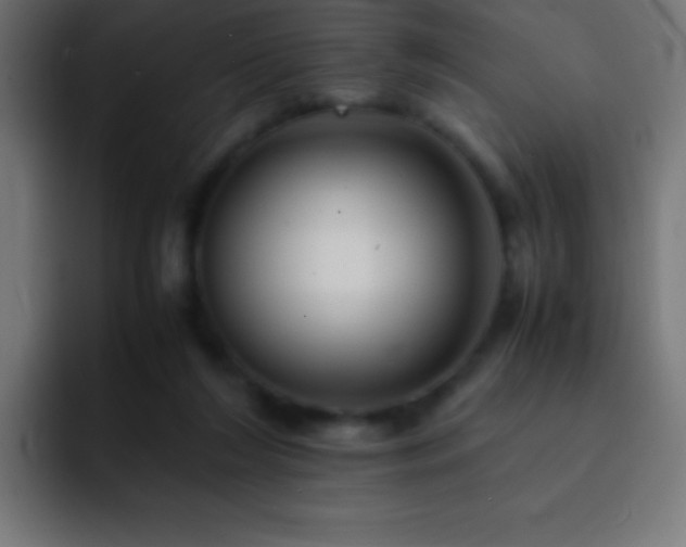 X0000093100212200710031836