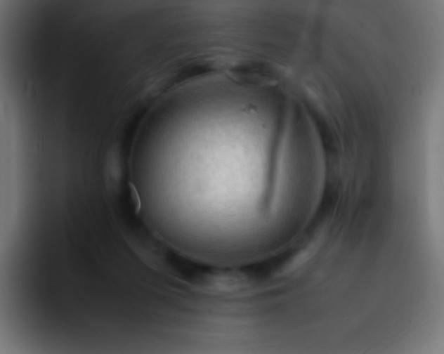 X0000093100215200710031835