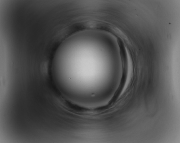 X0000093100217200710031835