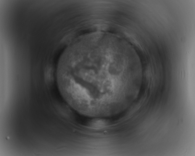 X0000093100218200710031835