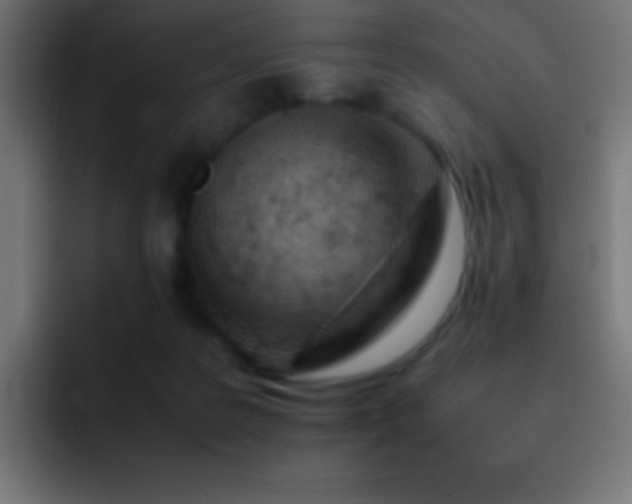 X0000093100219200710031835