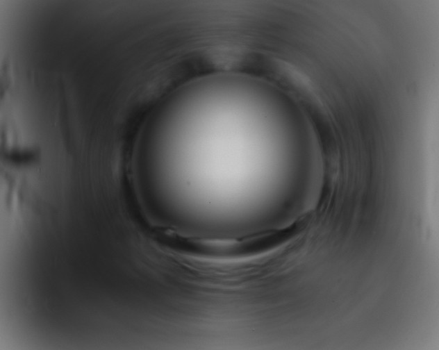 X0000093100221200710031835