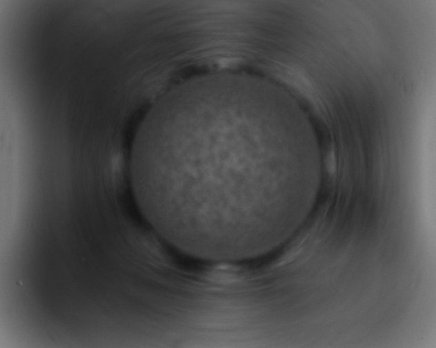 X0000093100222200710031835