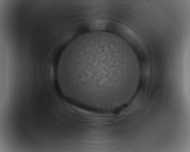 X0000093100224200710031835