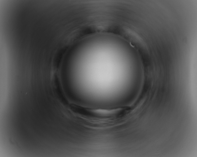 X0000093100225200710031835