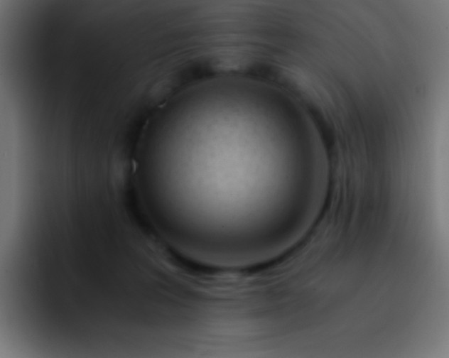 X0000093100227200710031835