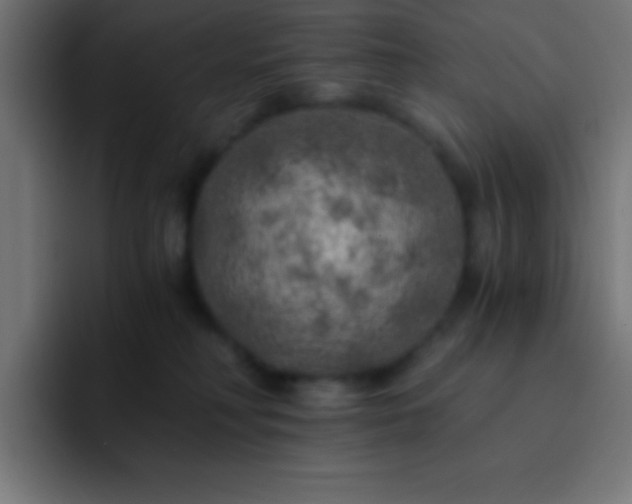 X0000093100230200710031835