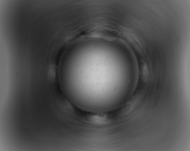 X0000093100232200710031835