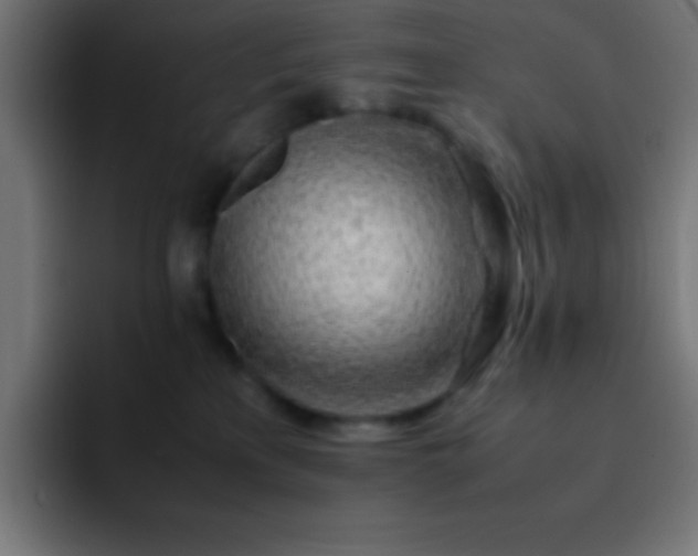 X0000093100233200710031835