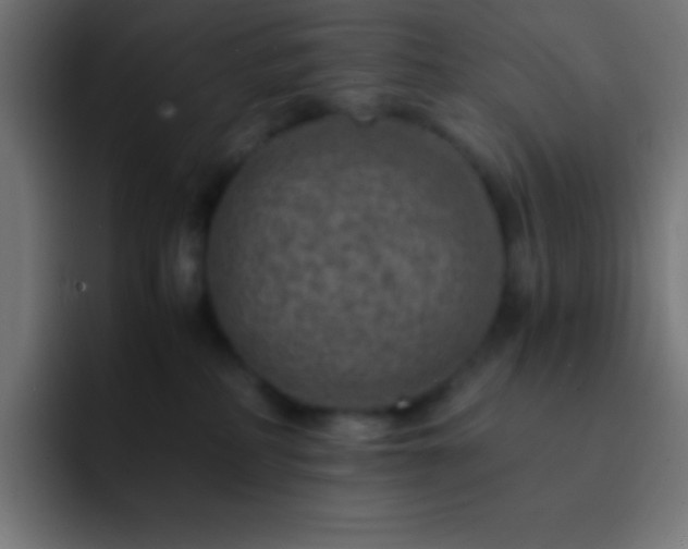 X0000093100234200710031835