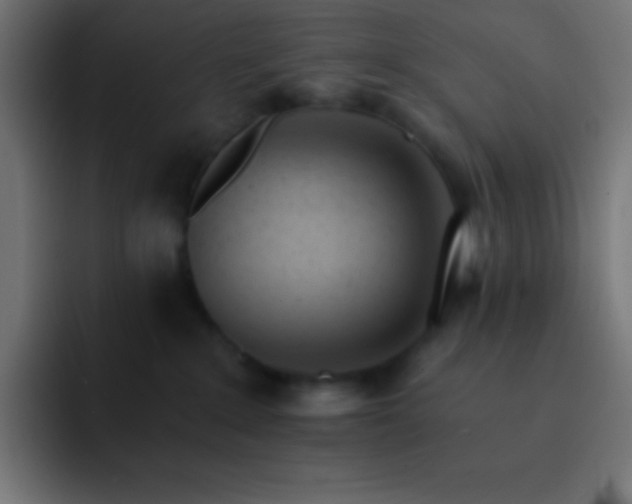 X0000093100235200710031835
