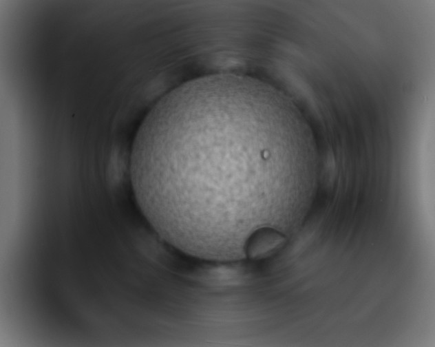 X0000093100236200710031835