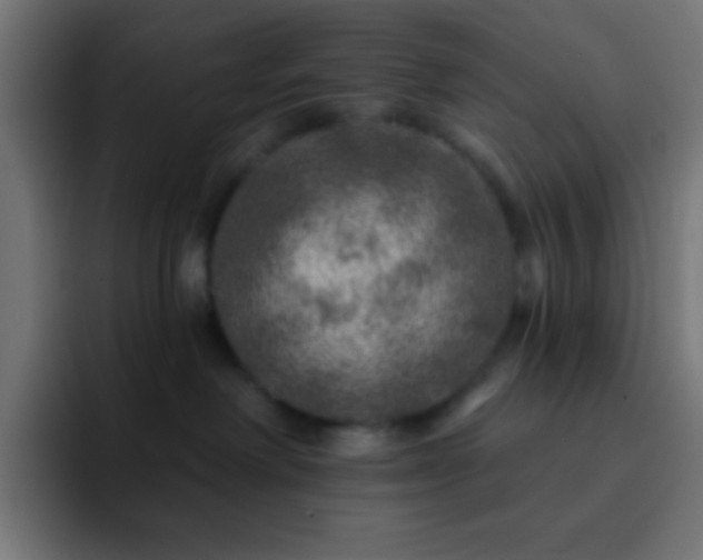 X0000093100238200710031835
