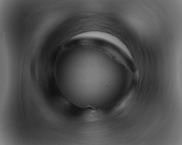 X0000093100239200710031835