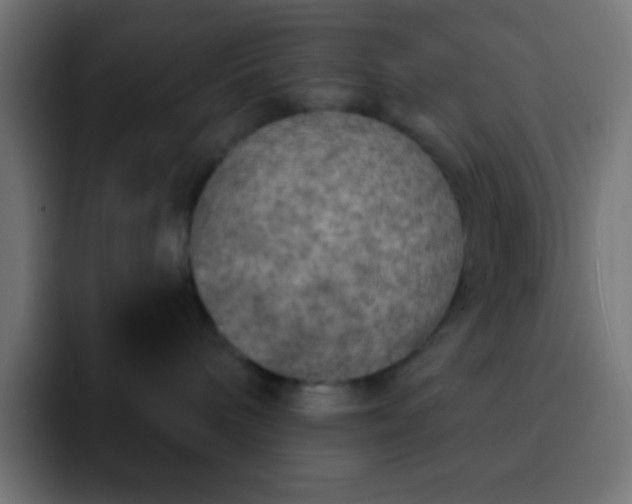 X0000093100240200710031835