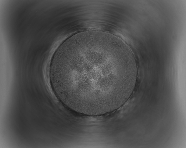 X0000093100241200710031835