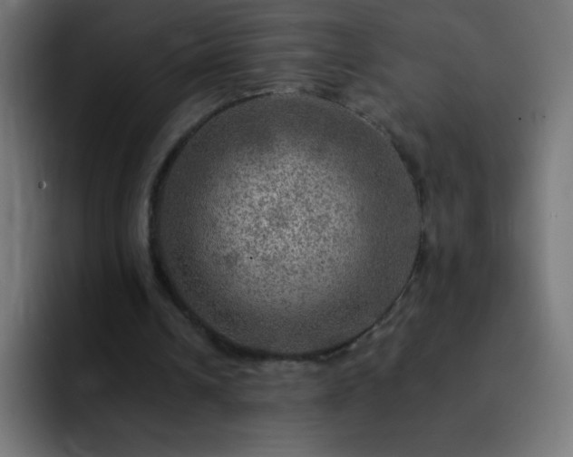 X0000093100242200710031835