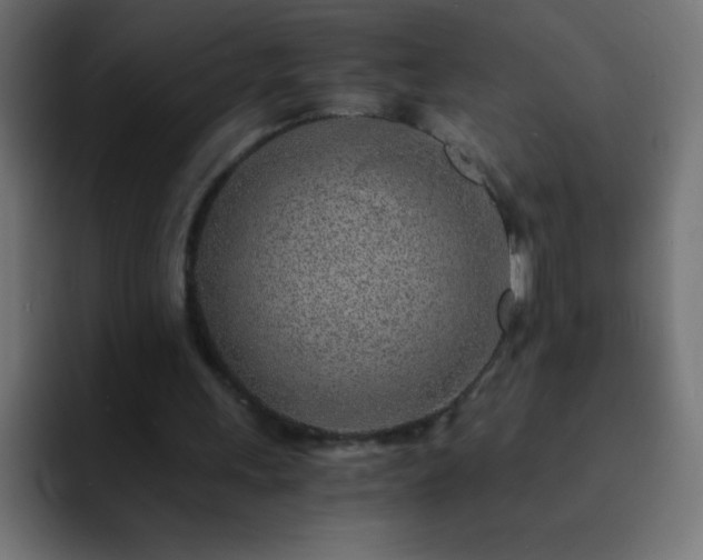 X0000093100243200710031835