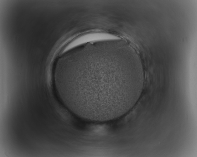 X0000093100247200710031835