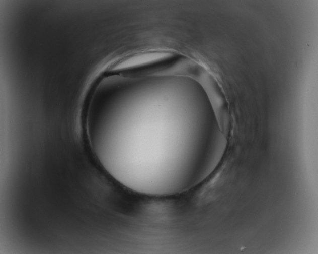 X0000093100248200710031835