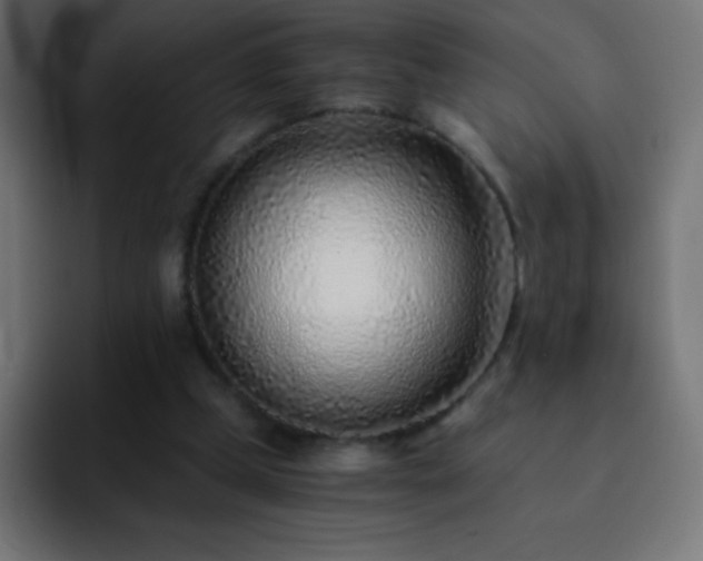 X0000093100249200710031835