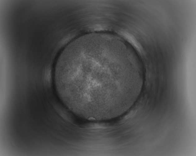 X0000093100250200710031835
