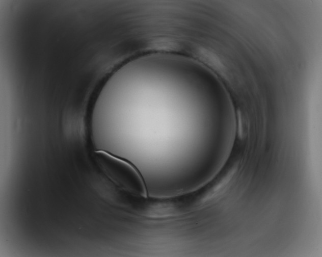 X0000093100252200710031835