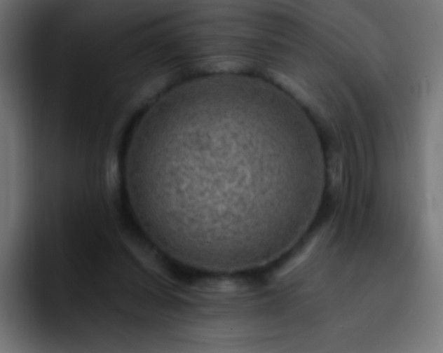 X0000093100254200710031835