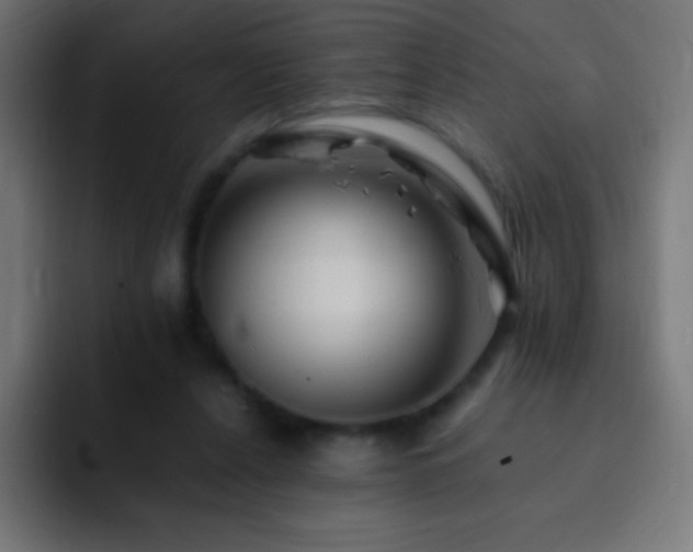 X0000093100256200710031835