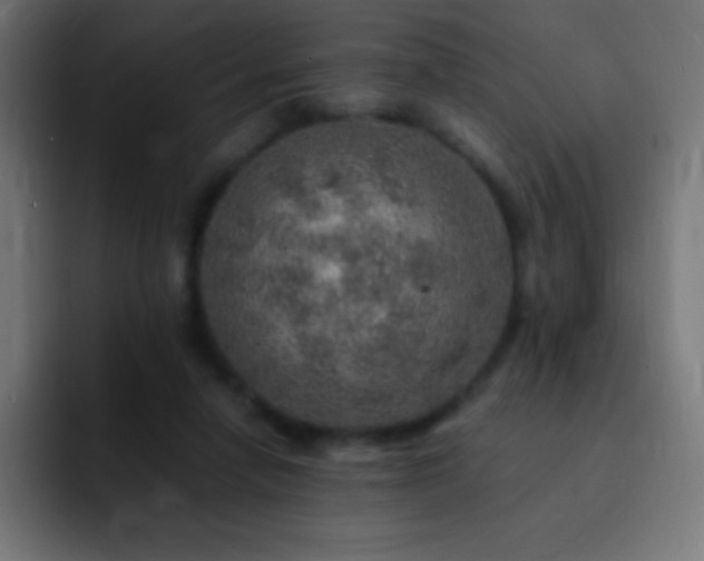X0000093100258200710031835