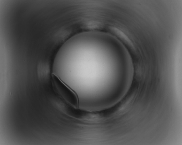 X0000093100260200710031835