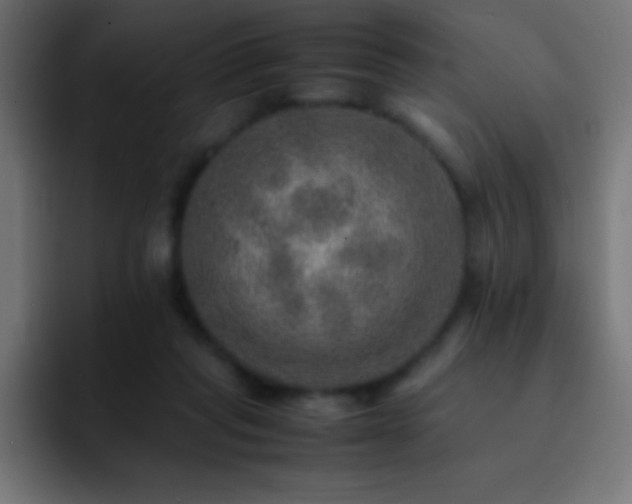 X0000093100261200710031835