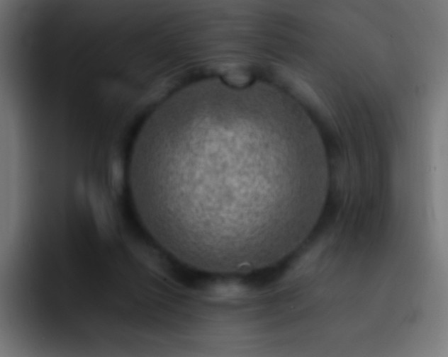 X0000093100262200710031835