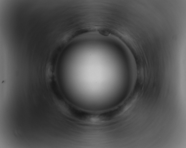 X0000093100264200710031835