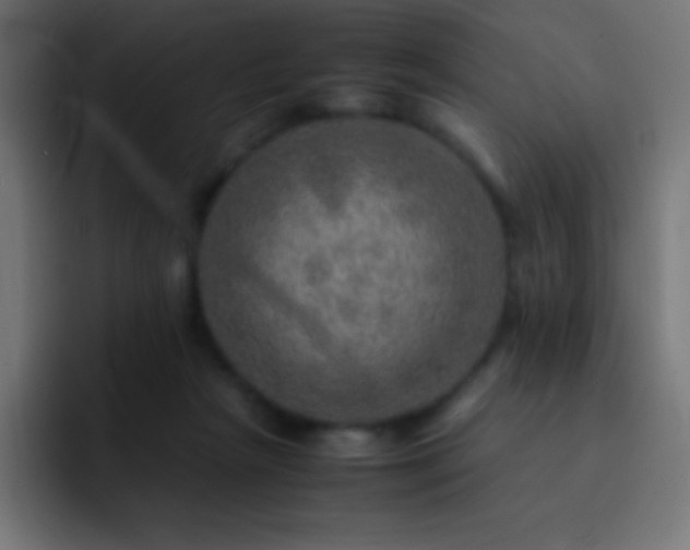 X0000093100265200710031835