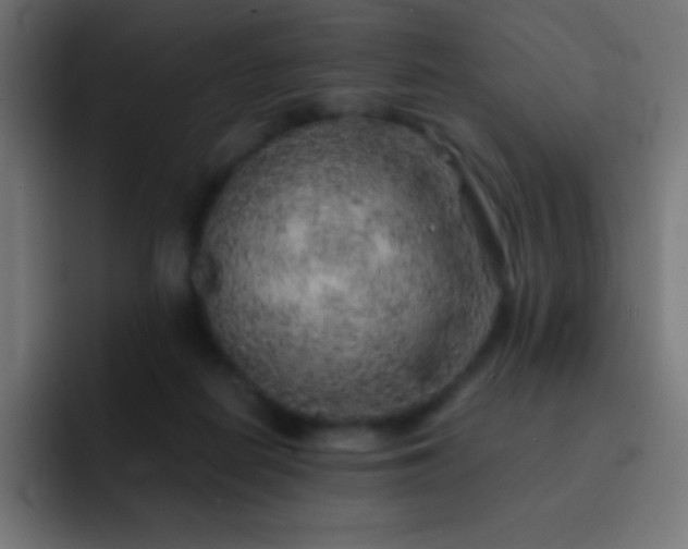 X0000093100266200710031835