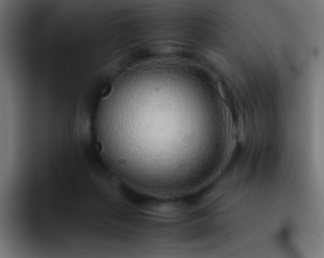 X0000093100267200710031835