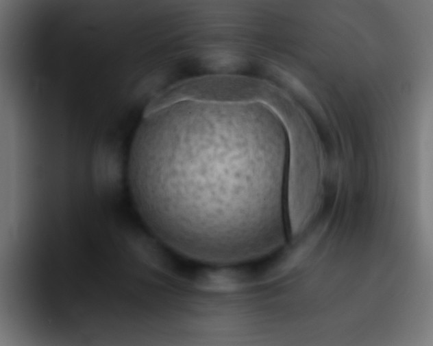 X0000093100268200710031835