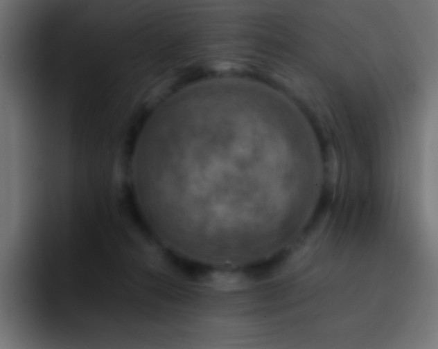 X0000093100272200710031835