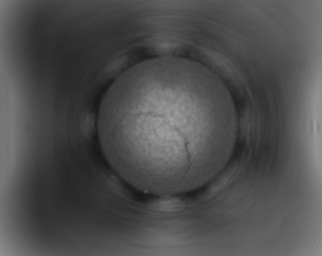 X0000093100278200710031835