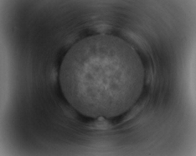 X0000093100279200710031835