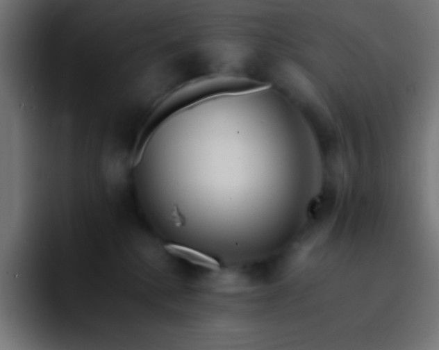 X0000093100280200710031835
