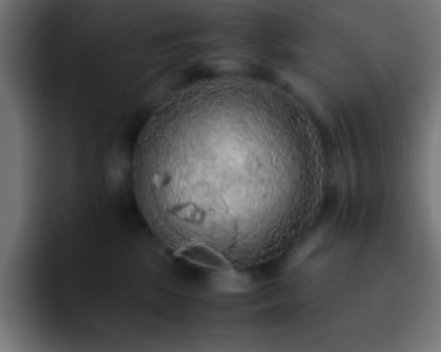 X0000093100281200710031835