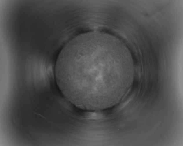 X0000093100286200710031835